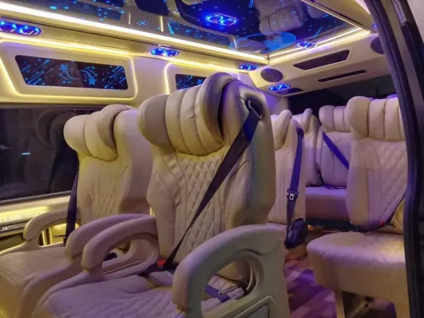 VIP-минибус